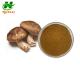 Shiitake Mushroom Extract Lentinus Edodes Extract 10%-50% Polysaccharide Lentinan