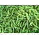 Fresh IQF Individually Quick Freezing Green Pepper Strips IQF Frozen Food For Catering