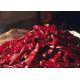 Red Spicy Yidu Chili Authentic Taste Rich Flavour 15cm