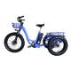 Aluminum Alloy Frame 48V 500W 3 Wheels Electric Cargo Tricycle with 24x4.0 Fat Tires