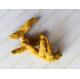 Curcuma longa L root tuber rhizome traditional chinese herb Jiang huang