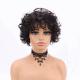 250% Density Pixie Cut Curly Human Hair Wig with Swiss Lace Base Material