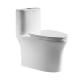 ARROW One Piece Toilets 679×371×693mm Siphonic Flushing