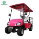 Raysince factroy directly supply golf trolley electric 2 seats mini golf buggy good quality electric golf cart