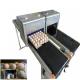 Variable Speed Automatic Egg Stamping Machine With Multiple High Effect