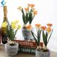 Silk Artificial Green Plants , Artificial Mini Daffodils For Desk Decoration