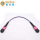 Vietnam Manufacture MM OM4 MTP / MPO 8 12 24 Cores Cable Fiber Optical Patch Cord