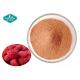 Organic Freeze Dried Red Raspberry Powder Antioxidants Supplements