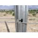 275g/M2 Vineyard Stakes / Metal Post Stakes Customized Length / Thickness