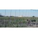 KEYSTONE STEEL & WIRE Monarch Deacero Steel field fence panels 3 ft. H x 50 ft. L