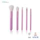 OEM ODM 5pce Makeup Brush Travel Set With Purple Short Plastic Handle