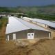 Customization Prefabricated Steel Structure Poultry House For 10000 Chickens