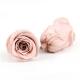 Cell Replacement Dyeing 6pcs Diameter 5-6cm Preserved Rose Heads