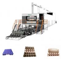 Customized Paper Tray Making Machine Production Line Molded Pulp Packaging