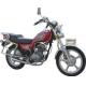 Motorcycle (GW125-C)