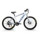 48V 10AH Lithium Battery Electric Bicycle 250W 350W Rear Front Disc Brake  Mountain Bike