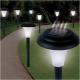 Super Bright Solar Accent Lights Garden solar lighting product outdoor solar lamp