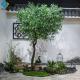 Restaurant Decro Artificial Olive Tree 5-10 Years Life Time 2.5m Height