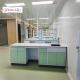 Export Plywood Package Lab Wall Benches Powder Coating For Durability