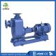 ZW Type Self Priming Sewage Pump Single Phase Non Clog Sewage Submersible Pump