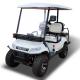 White LED Termite Golf Cart Buggies 3.5KW Motor Color Customization