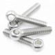 M16*2 Pitch SS A2-70 Stainless Steel Lifting Swing Bolt DIN444