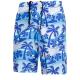 Beach Summer Elastic Waist Men'S Blue Coconut Tree Five Point Shorts Quick Drying