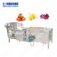 Full Automatic Clean Root Leafy Vegetable Asparagus Washing Processing Line/Fruit Washing Production Line