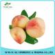 100% Natural Fruit Honey Peach Juice Powder