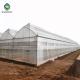 Large Double Arch 4.5m Multi Span Greenhouse Stable Structure Layer 0.15 Film
