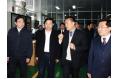 Ding Dawei, the Mayor of Nantong city inspected ZTT