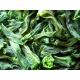 Direct Buy China Healthy Vegetables AD Dried Green Bean