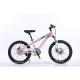 20 Children Bicycle Kids Bike Single Speed Bicicleta with Steel Suspension Fork