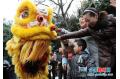 Dragons, Lions Dance for Lantern Festival