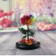 Preserved Flower Eternal Rose in Glass Long Lasting Flowers Home Decoration Everlasting Flowers
