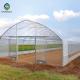 10m Agricultural Gothic Arch High Tunnel Reinforced Prefabricated Plastic Film