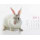 2018 OEM wall calendar printing, animal calendar printing, company catalog calendar printing