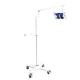 Portable Dental Teeth Whitening Machine 12W Powerful 10 LED Cold Light Floor Standing Moveable Bleaching Unit Lamp