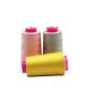 Dyed 20/2 20/3 40/2 Spun Polyester Sewing Thread for Clothes Kangfa Dyed Pattern Dyed
