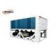 Efficient Air Cooled Heat Pump Unit Dedicated High Efficiency Screw Compressor