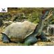 Sunproof Life Size Model Dinosaurs Large And Professional For Children Park