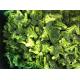 New Winter Crop No Worm IQF Frozen Broccoli Florets