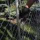 9 Gauge 2 Inch Chain Link Fence With Fittings Green Color