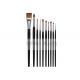 Watercolor Acrylic Paint Brushes Set 10 Synthetic Sable Artist Paint Brushes Short Handle