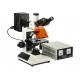 Epi-Fluorescence Science Lab Microscope 4X 100X Light Microscope Biology