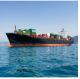 Container International Sea Freight Shipping Prices To Usa Logistic Company China Forwarder