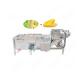 Hot Sale Vegetable Washing Machine With Ozone Minitype