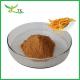 Wholesale Price 100% Natural Cordyceps Sinensis Extract Powder Polysaccharides 10%-50%