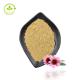 Top Quality Echinacea Extract Purpurea Organic Echinacea Extract Powder