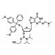 RNA DNA Synthesis Phosphoramidite 5g/bottle A G C T Phosphoramidites